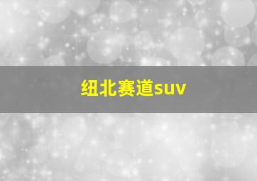 纽北赛道suv