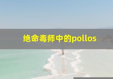 绝命毒师中的pollos