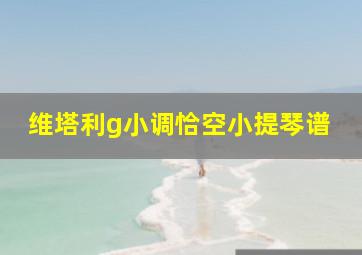 维塔利g小调恰空小提琴谱