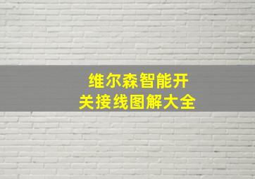 维尔森智能开关接线图解大全