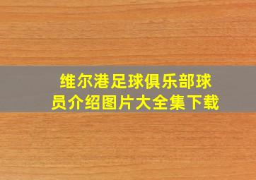 维尔港足球俱乐部球员介绍图片大全集下载