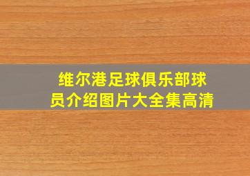 维尔港足球俱乐部球员介绍图片大全集高清