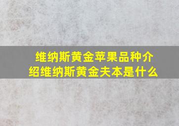 维纳斯黄金苹果品种介绍维纳斯黄金夫本是什么