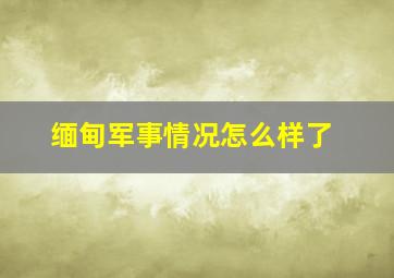 缅甸军事情况怎么样了