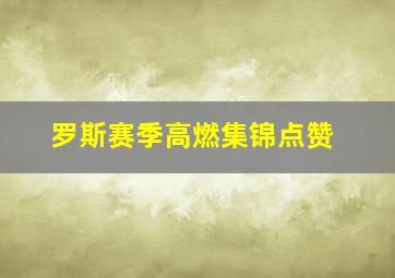 罗斯赛季高燃集锦点赞