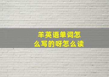 羊英语单词怎么写的呀怎么读