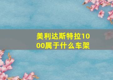 美利达斯特拉1000属于什么车架