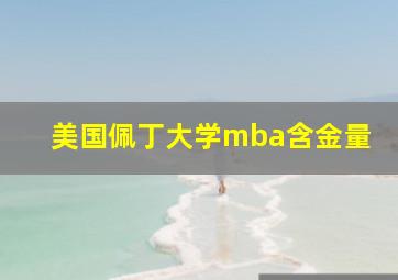 美国佩丁大学mba含金量