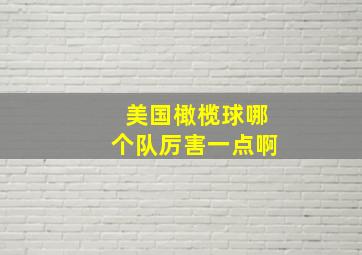 美国橄榄球哪个队厉害一点啊