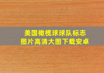 美国橄榄球球队标志图片高清大图下载安卓