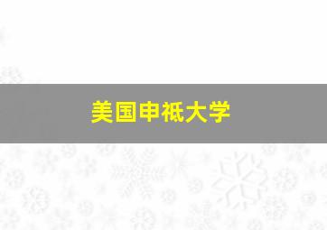 美国申祗大学