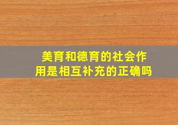 美育和德育的社会作用是相互补充的正确吗