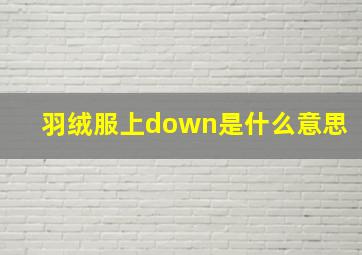 羽绒服上down是什么意思