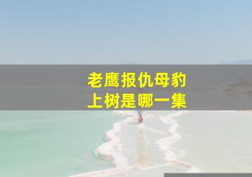 老鹰报仇母豹上树是哪一集