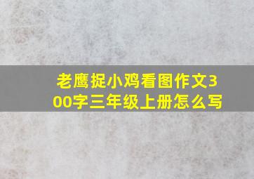 老鹰捉小鸡看图作文300字三年级上册怎么写