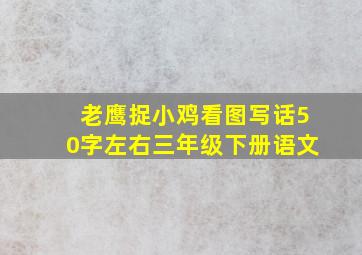 老鹰捉小鸡看图写话50字左右三年级下册语文