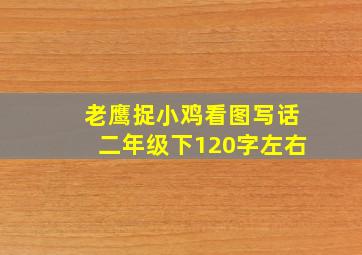 老鹰捉小鸡看图写话二年级下120字左右