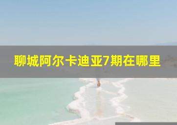 聊城阿尔卡迪亚7期在哪里