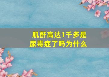 肌酐高达1千多是尿毒症了吗为什么