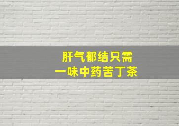 肝气郁结只需一味中药苦丁茶