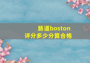 肠道boston评分多少分算合格