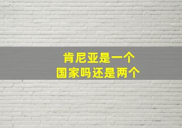 肯尼亚是一个国家吗还是两个