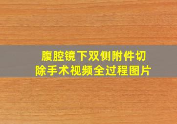 腹腔镜下双侧附件切除手术视频全过程图片