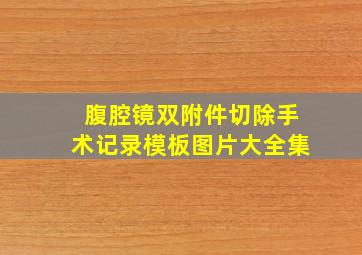 腹腔镜双附件切除手术记录模板图片大全集