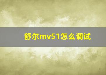 舒尔mv51怎么调试