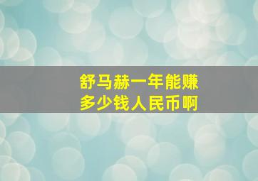 舒马赫一年能赚多少钱人民币啊