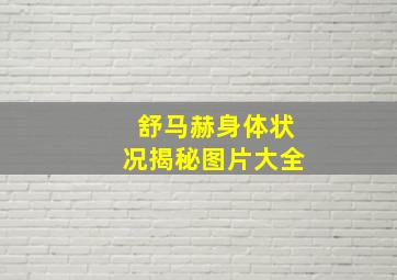 舒马赫身体状况揭秘图片大全