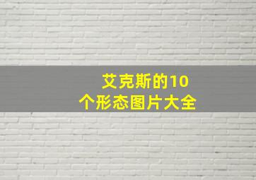 艾克斯的10个形态图片大全