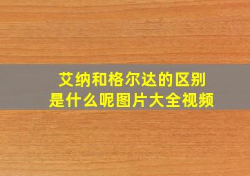 艾纳和格尔达的区别是什么呢图片大全视频