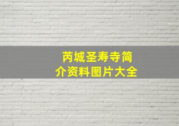 芮城圣寿寺简介资料图片大全