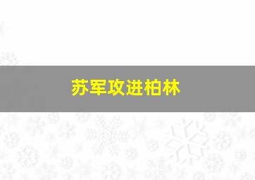 苏军攻进柏林