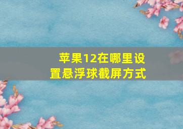 苹果12在哪里设置悬浮球截屏方式