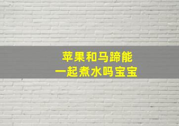 苹果和马蹄能一起煮水吗宝宝