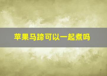 苹果马蹄可以一起煮吗