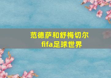 范德萨和舒梅切尔fifa足球世界