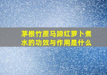 茅根竹蔗马蹄红萝卜煮水的功效与作用是什么