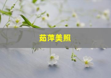 茹萍美照