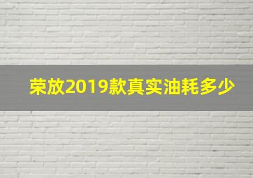 荣放2019款真实油耗多少