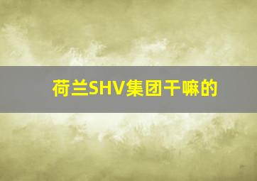 荷兰SHV集团干嘛的