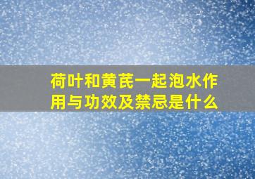 荷叶和黄芪一起泡水作用与功效及禁忌是什么