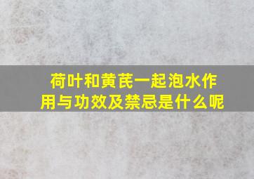 荷叶和黄芪一起泡水作用与功效及禁忌是什么呢