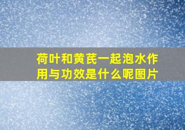 荷叶和黄芪一起泡水作用与功效是什么呢图片