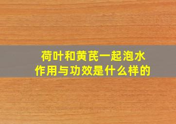 荷叶和黄芪一起泡水作用与功效是什么样的