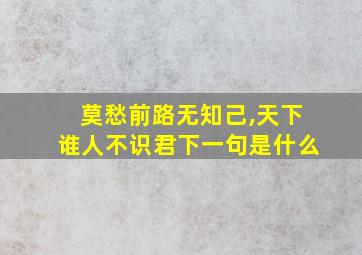 莫愁前路无知己,天下谁人不识君下一句是什么