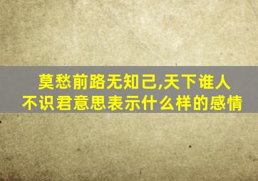 莫愁前路无知己,天下谁人不识君意思表示什么样的感情