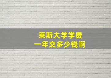 莱斯大学学费一年交多少钱啊